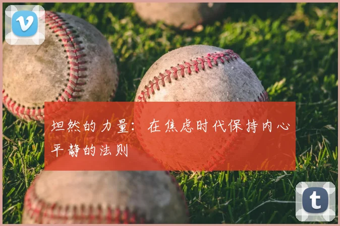 坦然的力量：在焦虑时代保持内心平静的法则