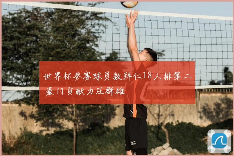 世界杯参赛球员数拜仁18人排第二 豪门贡献力压群雄