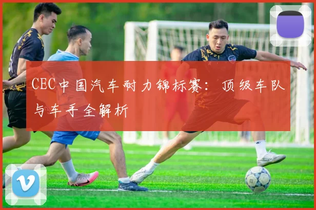 CEC中国汽车耐力锦标赛：顶级车队与车手全解析